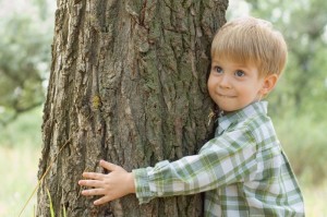 shutterstock_15045484
