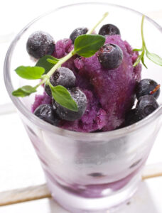 blueberry_sorbet